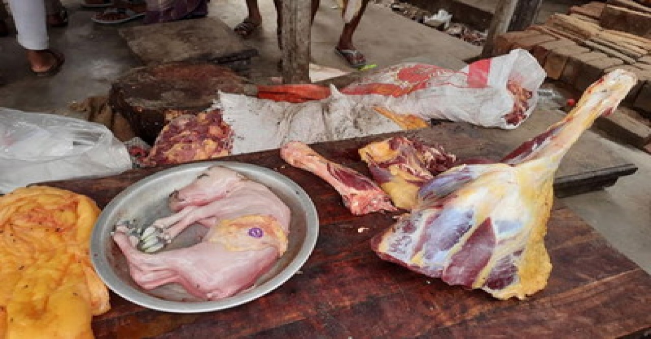 রাজশাহীর পুঠিয়ায় জবাইকৃত গাভীর পেট থেকে বাছুর উদ্ধার