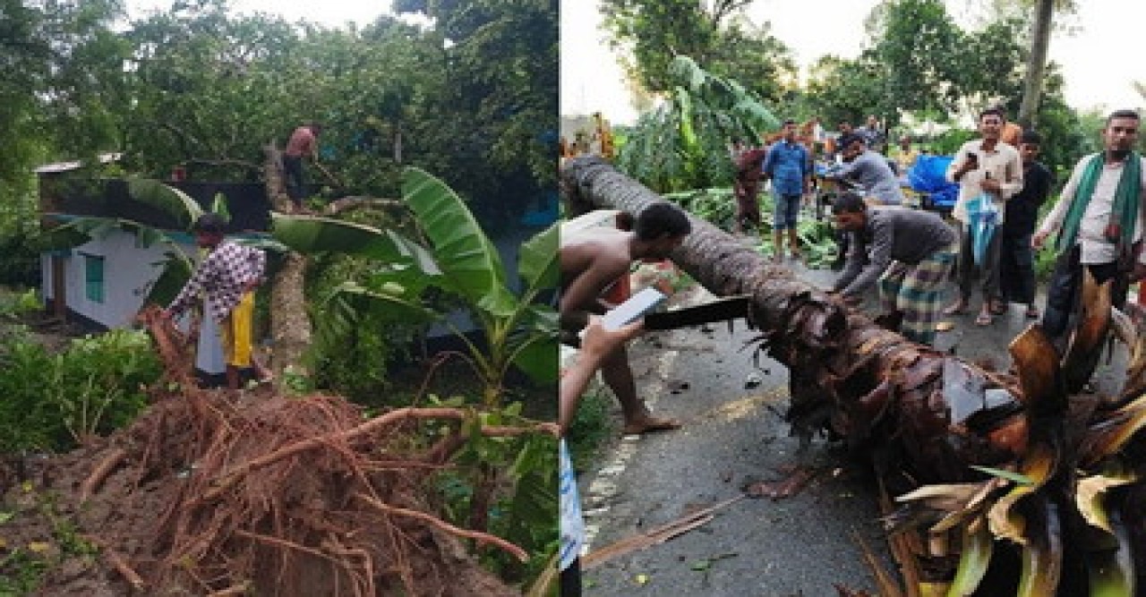 নওগাঁর বিভিন্ন উপজেলায় হঠাৎ ঝড়, ব্যাপক ক্ষয়ক্ষতি
