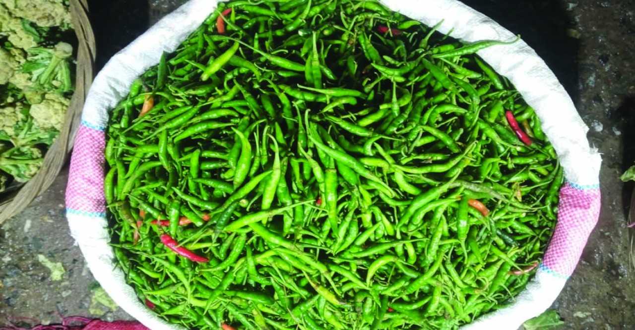 দিনাজপুরে কাঁচামরিচের কেজি ৩২০ টাকা