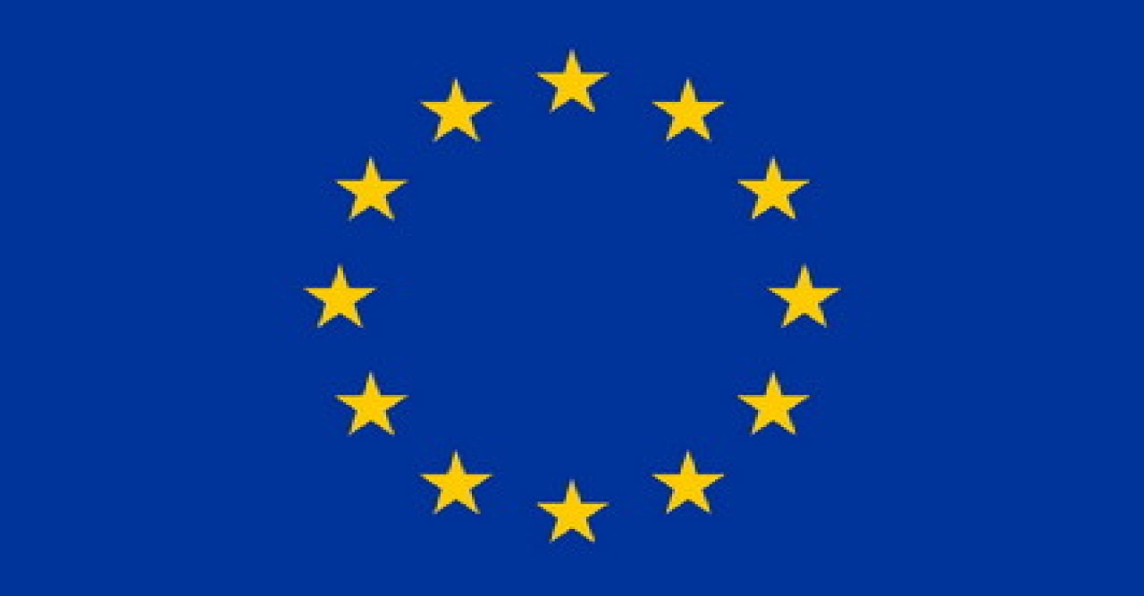 নির্বাচন পর্যবেক্ষণে মাঠে ইইউর ৫৬ পর্যবেক্ষক