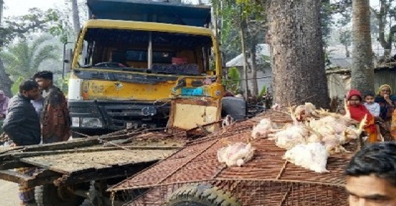 পুঠিয়ায় ফের মৃত্যুমিছিল: নছিমন-ড্রাম ট্রাক সংঘর্ষে ঝরল দুই প্রাণ