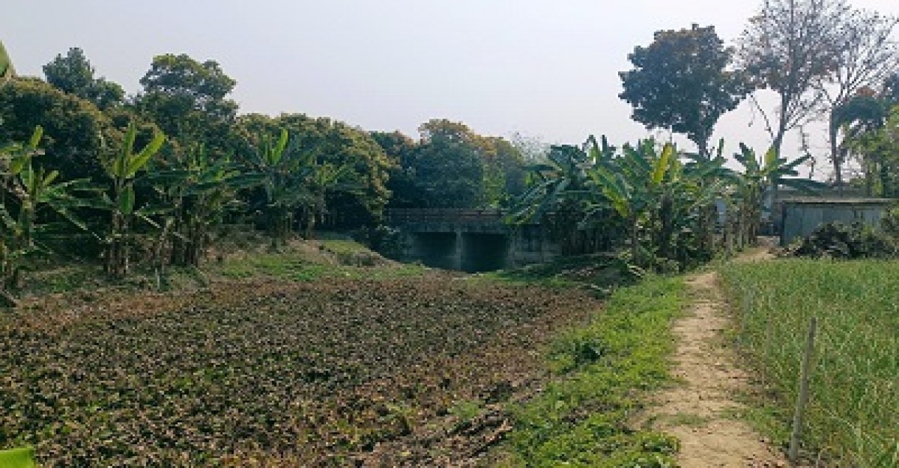 চারঘাটে কালের বিবর্তনে হারিয়ে গেছে ২৭ কিমি খাল, পরিবেশ ও জীবিকার জন্য উদ্বেগ