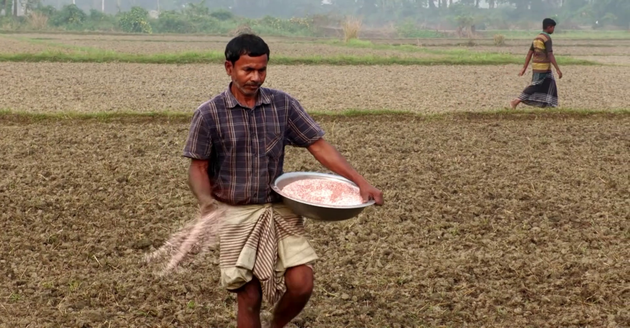৫৬৮ কোটি টাকায় তিউনিসিয়া-মরক্কো থেকে আসবে ৬৫ হাজার টন সার