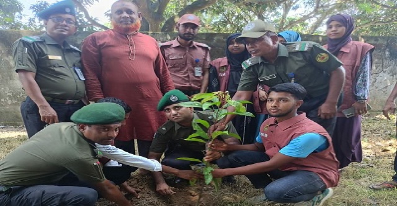 তানোরে আনসার কমান্ডারের উদ্যোগে গাছের চারা বিতরণ
