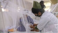 ডেঙ্গুতে আরও ৮ জনের মৃত্যু, আক্রান্ত ১৭৮২