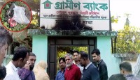 গ্রামীণ ব্যাংক কার্যালয়ে পেট্রোল বোমা নিক্ষেপ