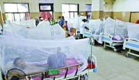 ডেঙ্গুতে আরও ৮ জনের মৃত্যু, হাসপাতালে ১৮৬০