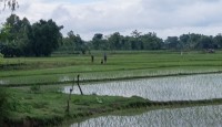 সীমান্তে খুঁটি বসানোর চেষ্টা, বিজিবির বাধায় পিছু হটল বিএসএফ
